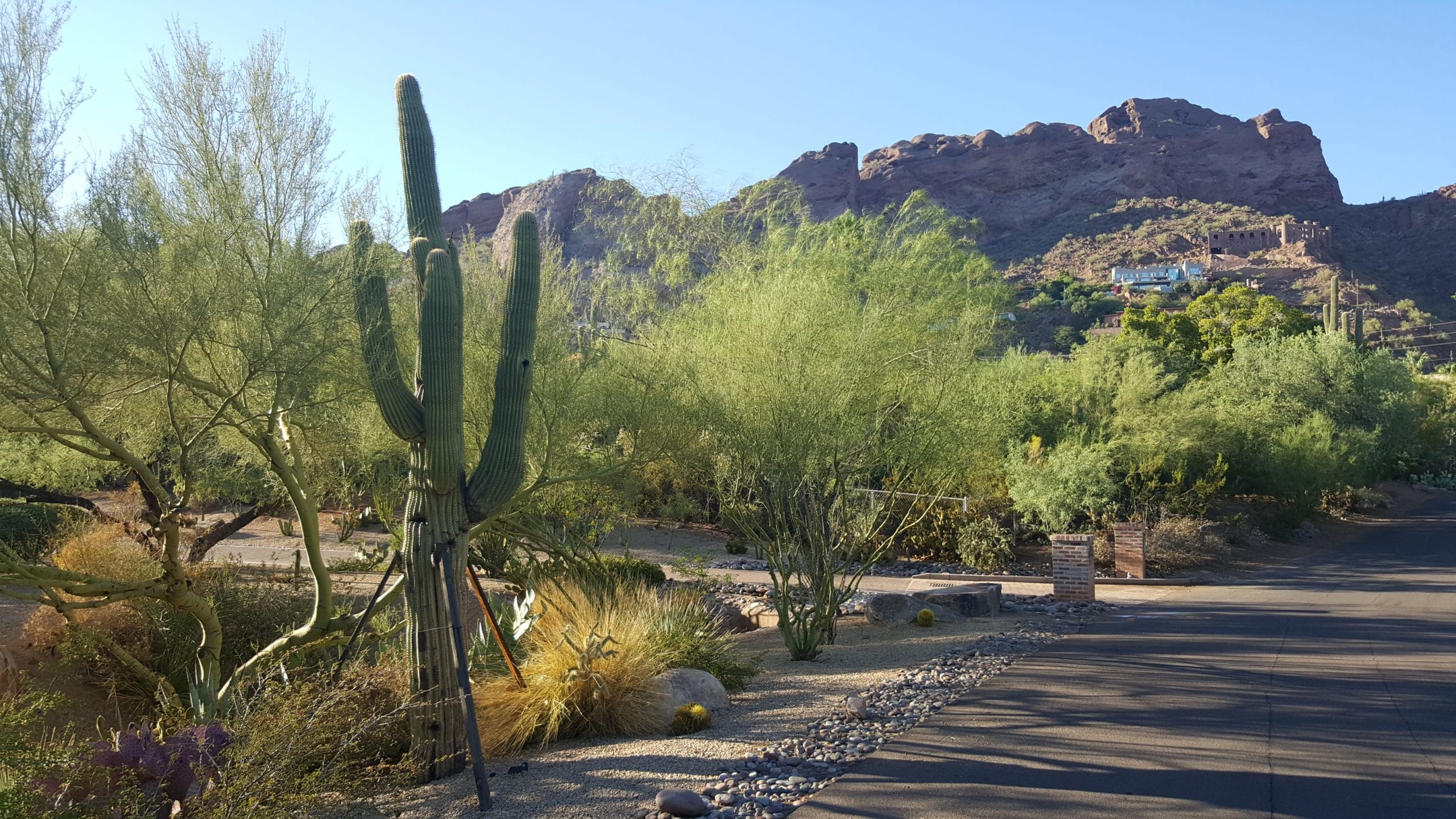 Camelback Road, Phoenix, Arizona