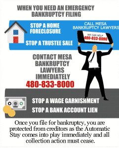 infographic: emergency bankruptcy filing in Mesa, Arizona